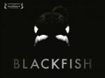 Plakat til dokumentaren Blackfish
